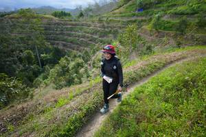 BIB: 
                            <button type="button" onclick="openModal(21840023)" class="btn btn-primary btn-sm float-right btn-popup" data-toggle="modal" data-target=".modal-high-quality">
                        <i class="fas fa-shopping-cart"></i> Add to Cart
                    </button>
                                            <button type="button" onclick="isThisMe(21840023, true)" class="btn btn-success btn-sm float-right btn-popup btn-isme hidden" data-toggle="tooltip" data-placement="bottom" title="นี่คือรูปของคุณใช่ไหม คลิกที่นี่เพื่อเอาเข้าอัลบั้ม">
                        <i class="fas fa-plus"></i> Add to album
                    </button>
                    <button type="button" onclick="isThisMe(21840023, false)" class="btn btn-warning btn-sm float-right btn-popup btn-isnotme hidden">
                        <i class="fas fa-ban"></i> Remove from album
                    </button>